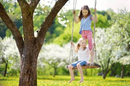两个可爱的姐妹在阳光明媚的春天, 在户外盛开的老苹果树花园荡秋千上