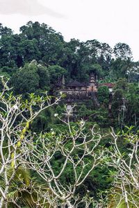 在巴厘岛的绿色森林里的房子。印度尼西亚的性质。印度尼西亚的风景