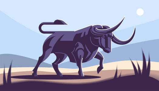 公牛的性质照片