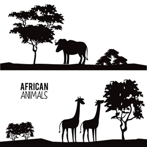 非洲动物剪影