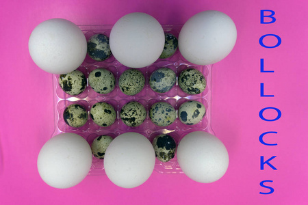 鸡鹌鹑蛋健康有机原料壳图片