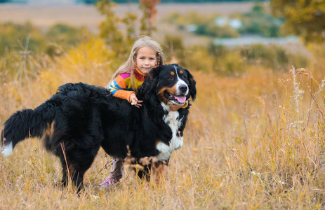 女孩拥抱狗, 与她的四条腿的朋友在秋天的领域散步