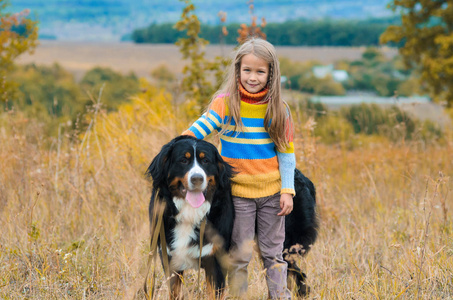 女孩与她的四条腿的朋友在秋天领域散步 Berner Sennenhund