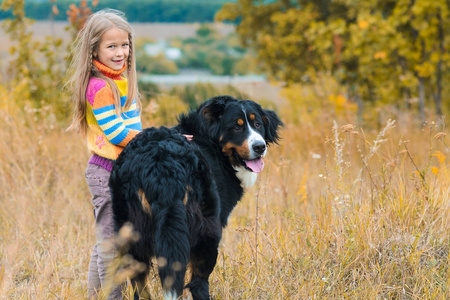 女孩与她的四条腿的朋友在秋天领域散步 Berner Sennenhund