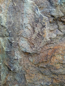 质地天然石灰棕砂。纹理, 岩石, 旧, 抽象