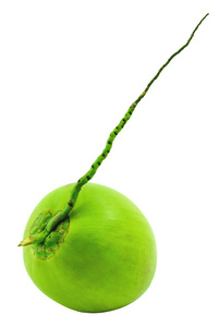 绿色椰果, 白色背景, 健康食品
