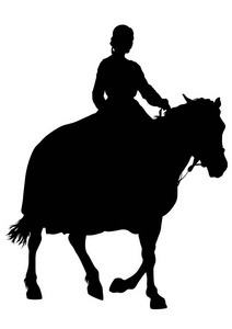 骑士在一匹老西装上的白色背景马