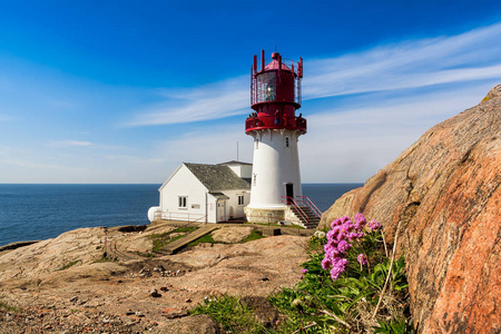 世界著名的 Lindesnes Fyr 灯塔在挪威的多数南部的点以粉红色的花在前景, 南挪威, Lindesnes Fyr 灯塔