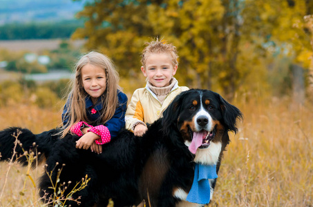 哥哥和他的妹妹在秋天的草地上与他的四足的狗朋友散步 Berner Sennenhund
