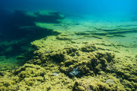 海水下的岩石图片-海水下的岩石素材-海水下的岩石插画-摄图新视界