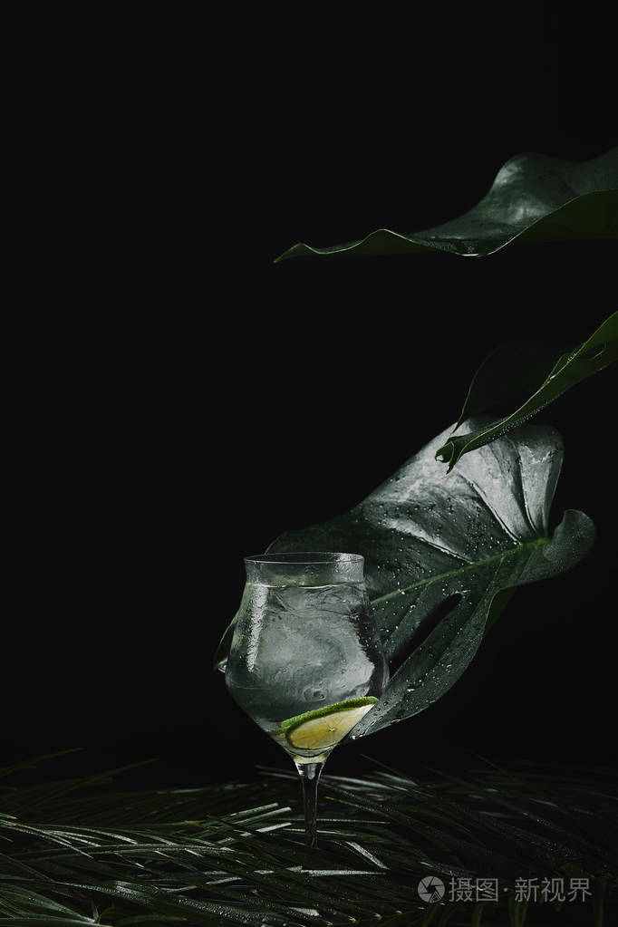 玻璃的特写视图与清爽的夏日饮料和潮湿的热带叶子在黑