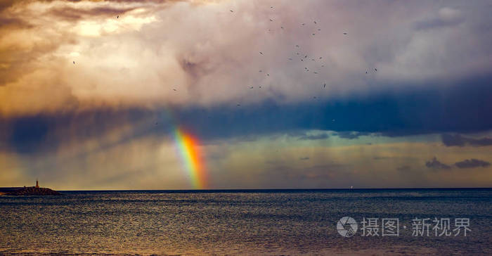 雨与彩虹和 seaguls 在海