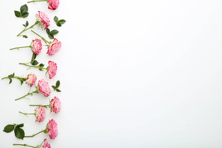 粉红色的玫瑰花, 绿色的叶子在白色背景下被隔绝照片