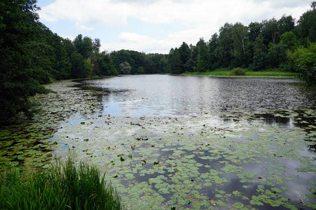 俄罗斯莫斯科 Kuzminki 公园的池塘