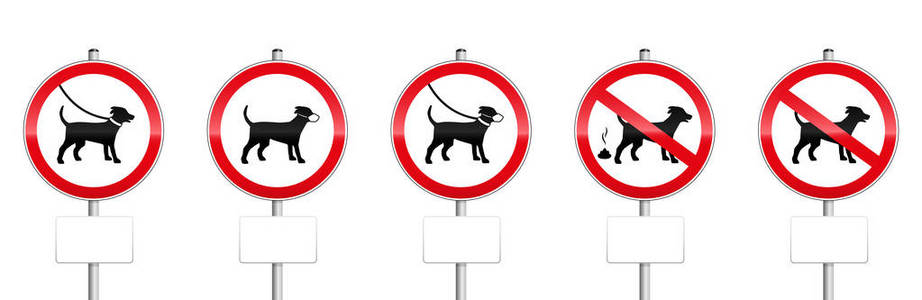 狗的强制性标志与空白面板不允许狗, 狗皮带, 穿着枪口, 狗污垢。在白色背景上被隔离
