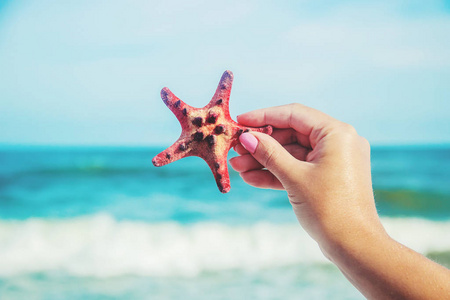 贝壳和海星在海上。夏天的照片。选择性对焦。自然