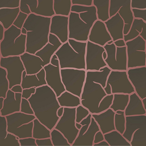 地球图案装饰craquelure 图案装饰石膏, 破碎土, 土壤表面侵蚀.