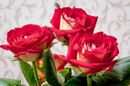 在一个房间里的红玫瑰花束与节日的问候