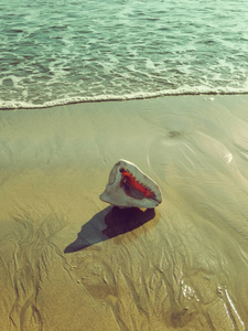 海滩上的贝壳瑜伽图标