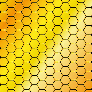 蜂巢插画图片-蜂巢插画素材-蜂巢插画插画-摄图新视界