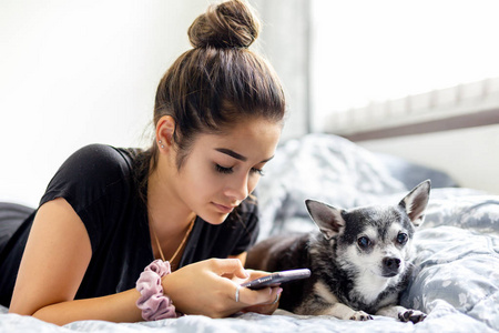 混合的种族十几岁的女孩使用手机与吉娃娃狗旁边在她的身边在床上
