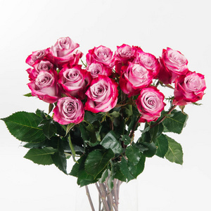 在白色背景上花瓣上有渐变的粉红色玫瑰花的华丽花束