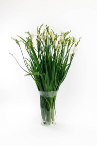白色背景玻璃花瓶中的白色新鲜小苍兰大花束