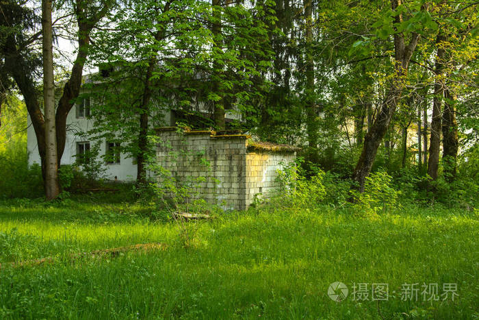 在茂密的森林中, 苏联时代的一个废弃疗养院的废墟.破坏和破坏.