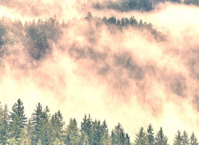 绿色山森林风景在薄雾。低山在云彩风景。雾山森林风景