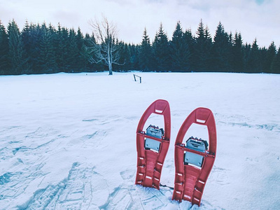 一套浅红色穿雪鞋。穿雪鞋站在山上的雪上
