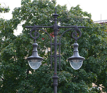 绿色树叶背景上的双管灯笼