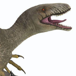 dakotaraptor 是一个食肉驰龙科食肉恐龙, 住在南达科他州, 北美洲在