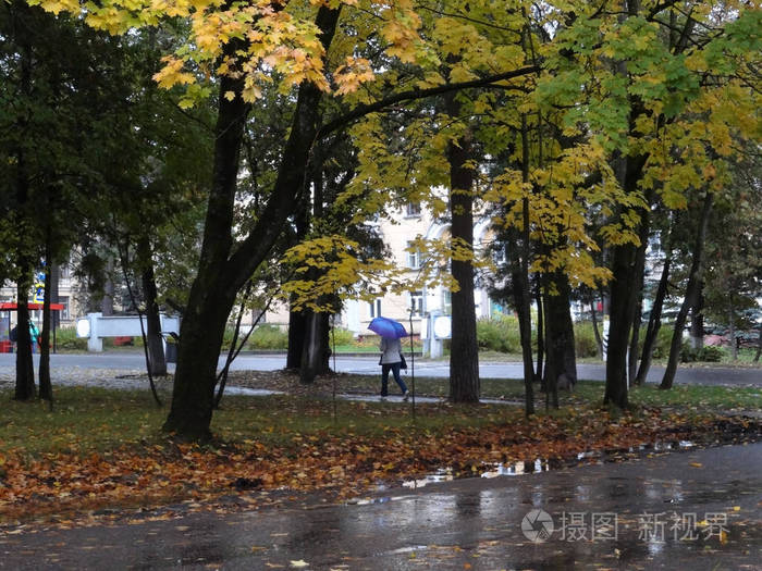 秋天的城市街道上, 一个带着雨伞的人在雨中漫步
