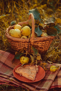 篮子里有苹果和夏洛特的苹果。秋天收割。在篮子里收集自制的苹果。健康食品