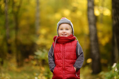 小男孩在阳光明媚的秋天漫步在森林里。活跃的家庭时间在自然。和小朋友一起远足