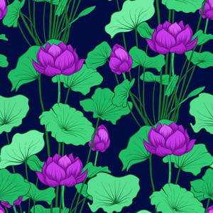 无缝图案, 背景与莲花。植物 illust