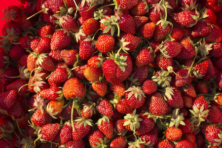成熟的草莓。很多成熟的浆果。美味的素食甜点
