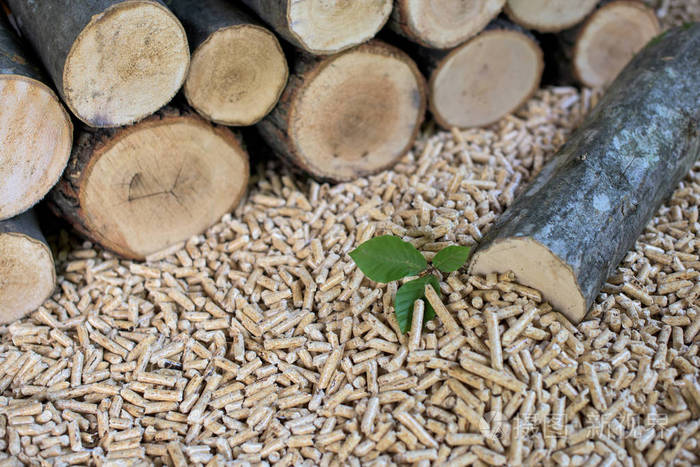 橡木生物质-木材, 颗粒, 幼树