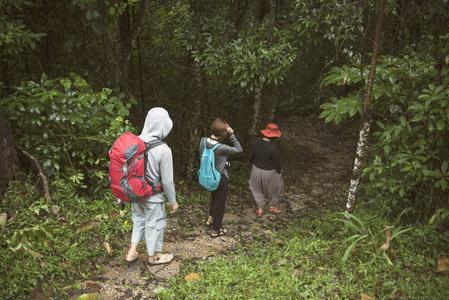 一群在雨林丛林中徒步旅行。探险和探险家概念