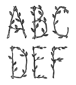 用树枝做的装饰字母的字母。自然矢量手画符号黑色孤立的白色