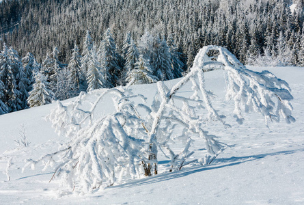 冬天平静的山景，有霜树和雪堆