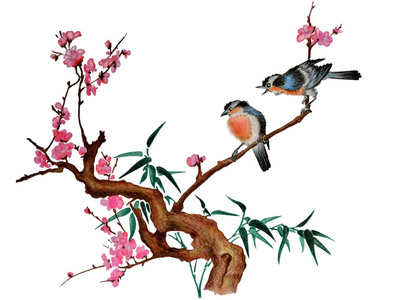 水彩鸟图片 水彩鸟素材 水彩鸟插画 摄图新视界