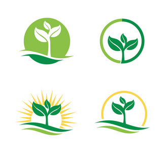 农业天然植物标志设计模板的肥沃载体