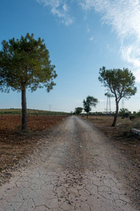 在蓝色的天空下, 通过奥古斯塔的道路, castellon, 西班牙