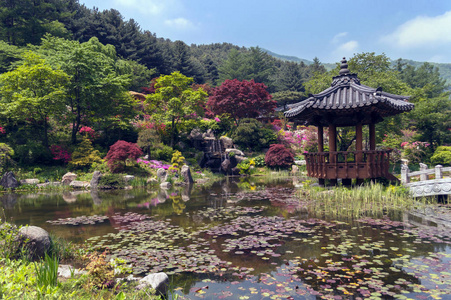 阳光明媚的传统韩国馆与小池塘和花园