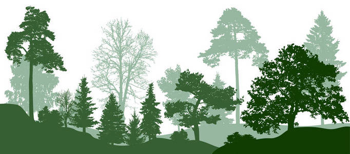 森林绿树剪影。自然公园矢量背景
