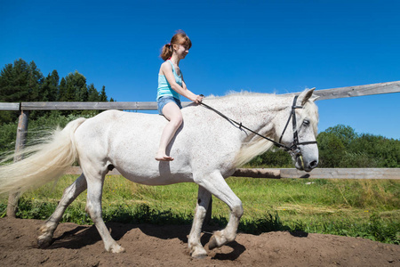 年轻女孩和白色马在自然在夏天晴朗的天