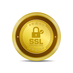 受 Ssl 保护的图标按钮