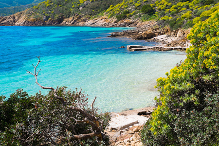 在撒丁岛，意大利的 Asinara 岛