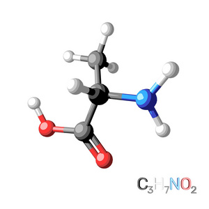丙氨酸模型分子。白色背景上的孤立。3d renderi